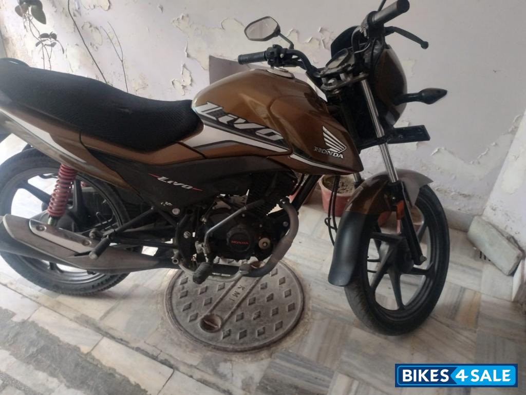 Golden Honda Livo Drum