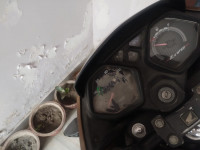 Golden Honda Livo Drum