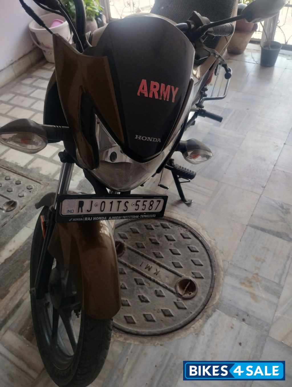 Golden Honda Livo Drum