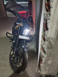 TVS Ronin DS 2025 2026 Model