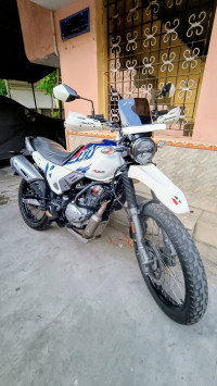 White Hero Xpulse 200 4V