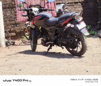 Bajaj Pulsar 125 Split Seat 2024 Model