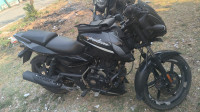 Bajaj Pulsar 125 Split Seat 2021 Model
