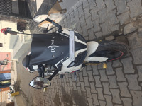 BMW G 310 RR 2024 Model