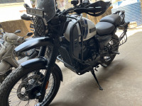 White Yezdi Adventure Gloss