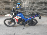 Hero XPulse 210 2025 Model