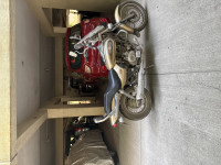 Golden Bei Bajaj Avenger Cruise 220