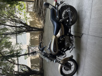 Golden Bei Bajaj Avenger Cruise 220