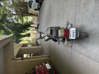 Golden Bei Bajaj Avenger Cruise 220