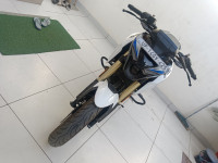 Bajaj Pulsar N250 Dual Channel ABS