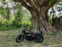 Supernova Brown Royal Enfield Meteor 350 Supernova