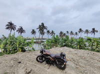 Supernova Brown Royal Enfield Meteor 350 Supernova