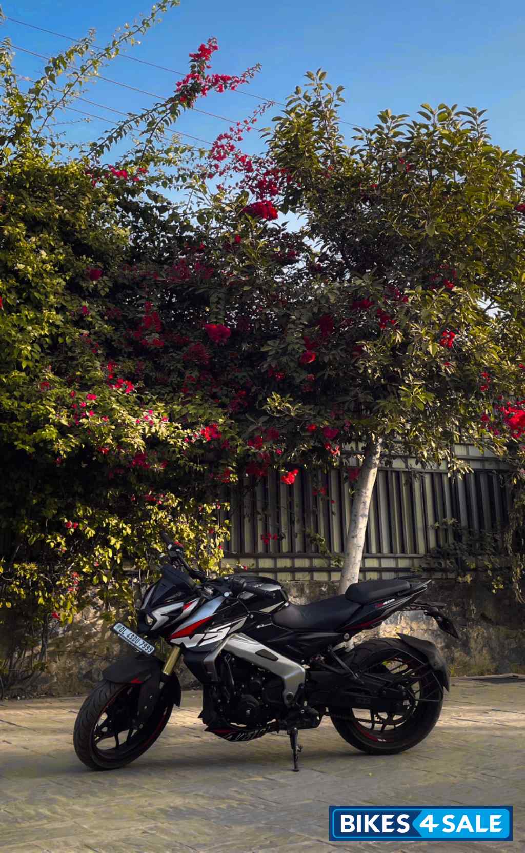 Black Bajaj Pulsar NS400Z Black Bajaj Pulsar NS400Z