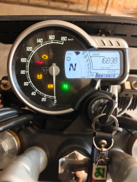 Khakhi Green Triumph Scrambler 400 X