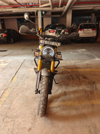 Khakhi Green Triumph Scrambler 400 X