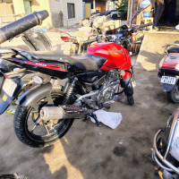 Cocktail Wine Red And Black Bajaj Pulsar 150 DTSi