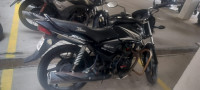 Honda Shine 125 Drum 2010 Model