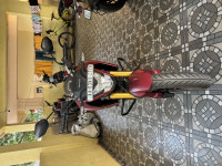 Honda  Hornet 2.0 2024 Model