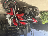 Red Benelli BN 600 I