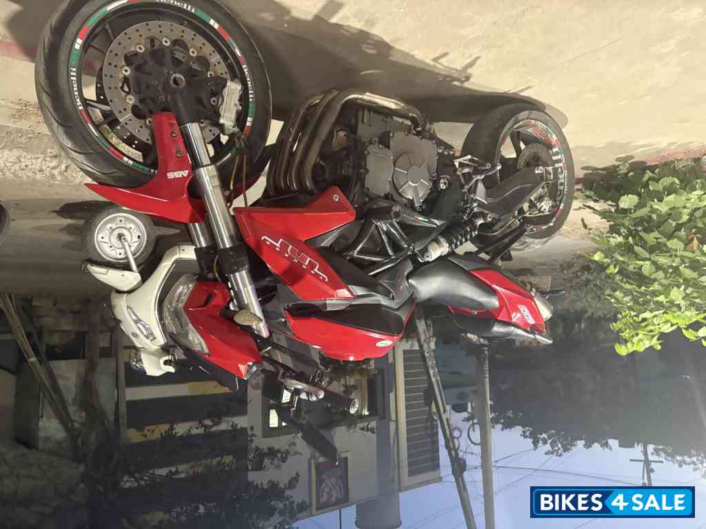 Red Benelli BN 600 I