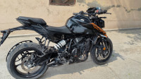 Ebony Black KTM Duke 250 2025