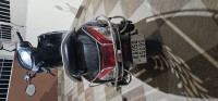 Honda Activa 6G Std 2024 Model