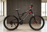 Bicycle Decathlon