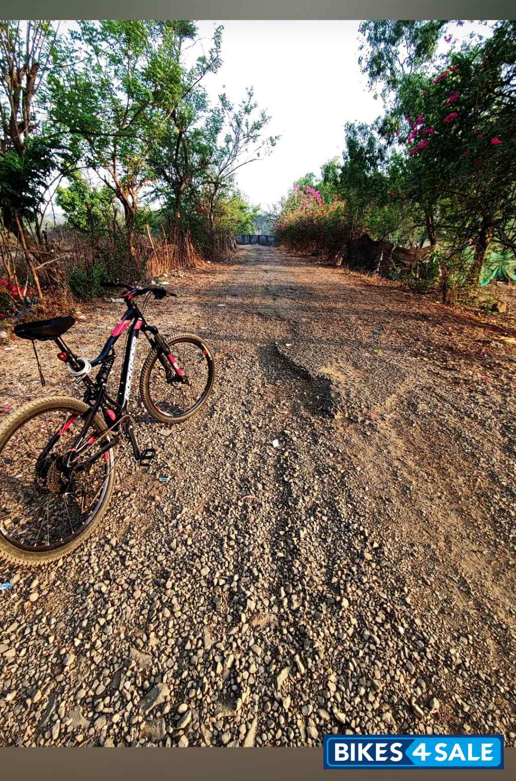 Bicycle Decathlon