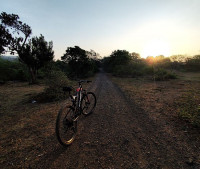 Bicycle Decathlon