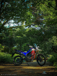 Hero XPulse 210 2025 Model
