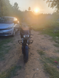 Bajaj Pulsar 150 Neon 2019 Model