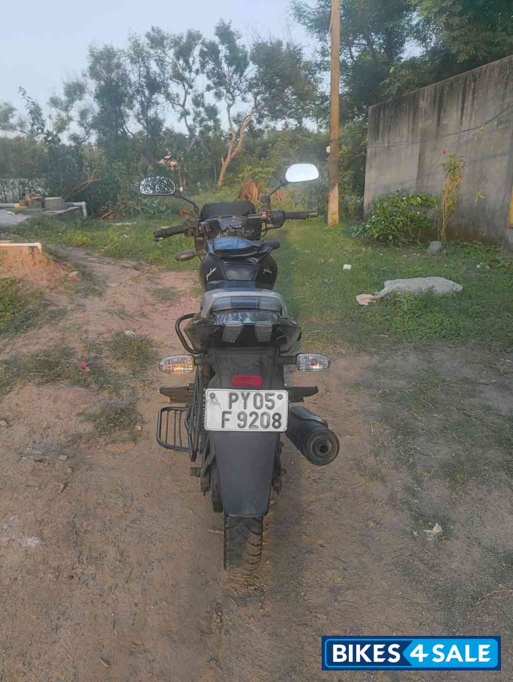 Bajaj Pulsar 150 Neon