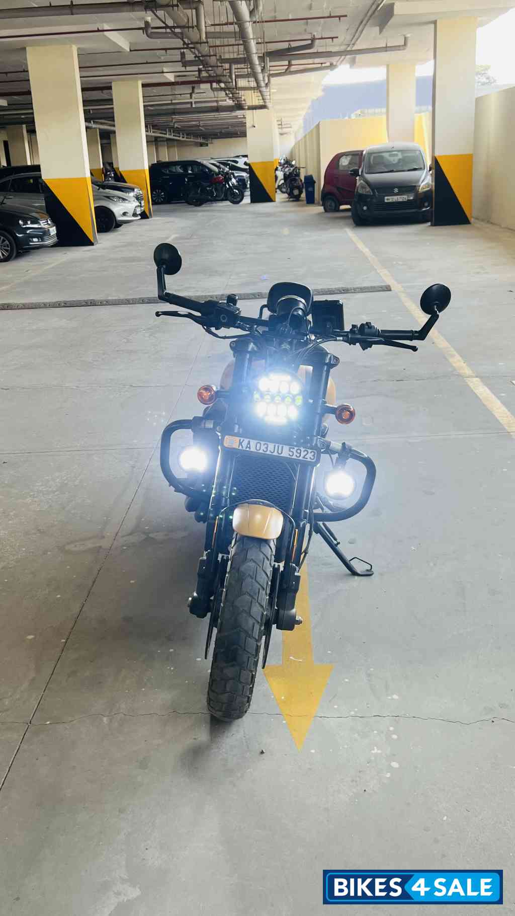 Golden Brown Harley Davidson Street Rod Golden Brown Harley Davidson Street Rod