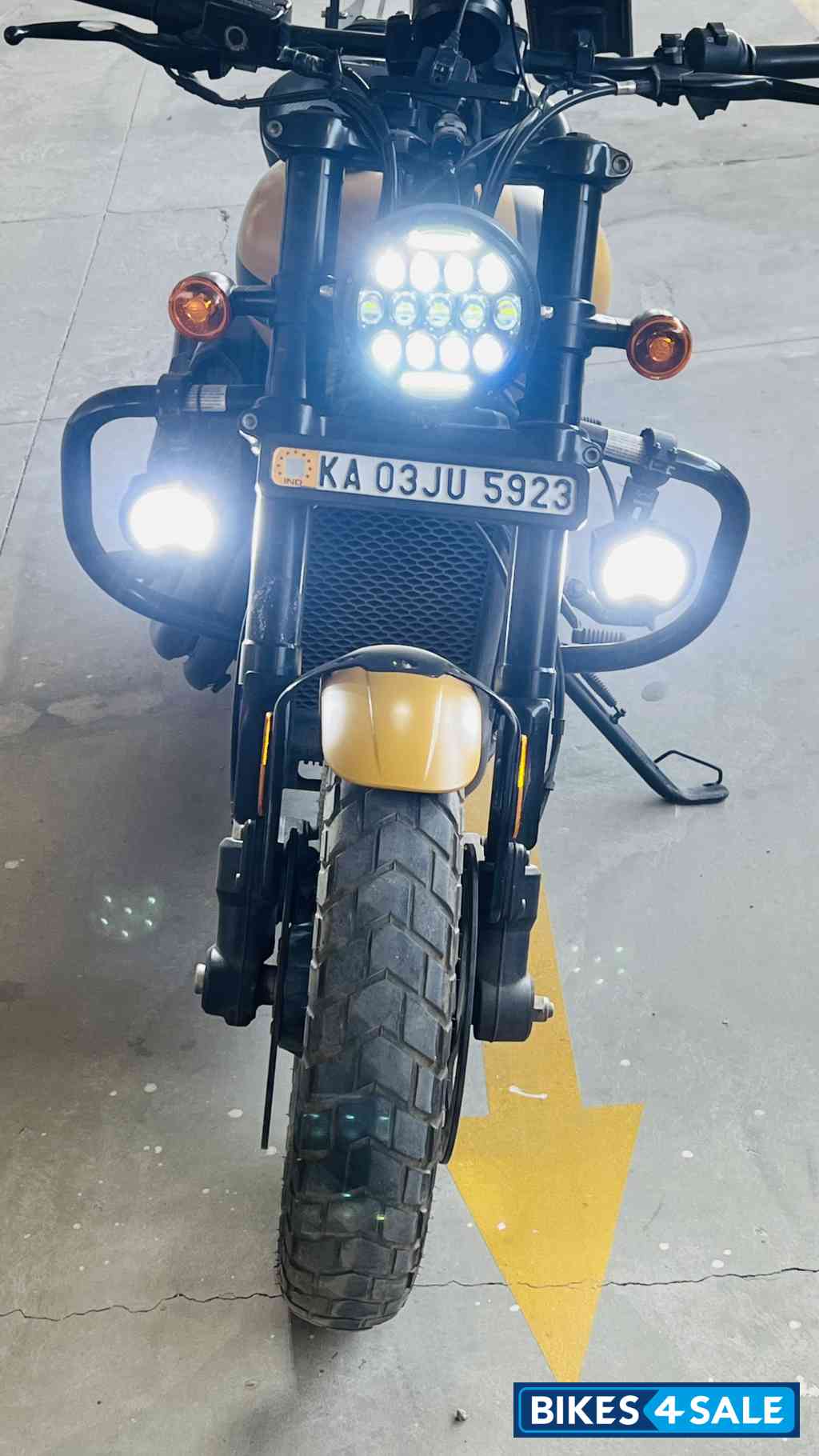 Golden Brown Harley Davidson Street Rod Golden Brown Harley Davidson Street Rod