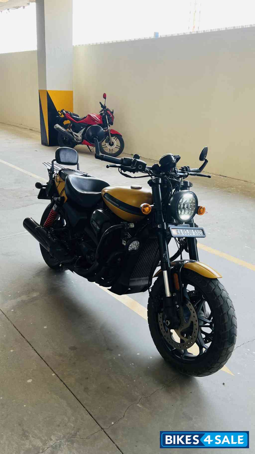 Golden Brown Harley Davidson Street Rod Golden Brown Harley Davidson Street Rod