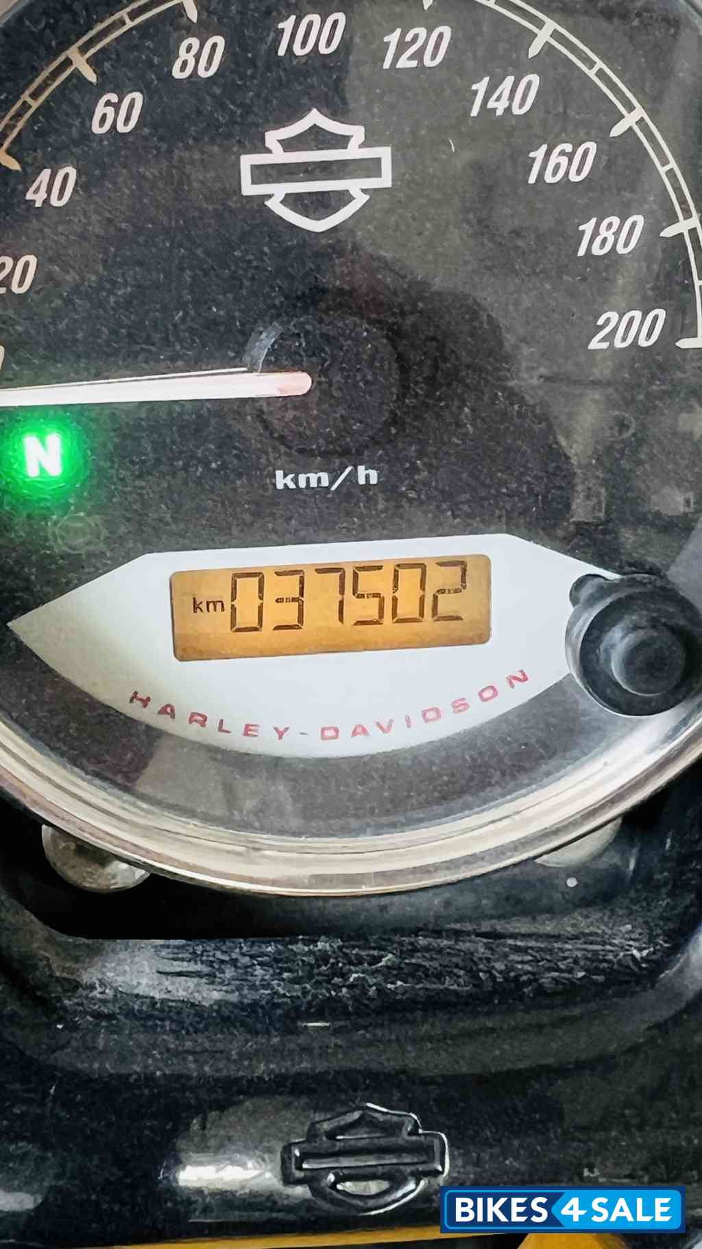 Golden Brown Harley Davidson Street Rod Golden Brown Harley Davidson Street Rod
