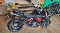 Benelli TNT 600 i 2017 Model