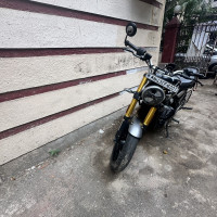 Black Triumph Speed 400