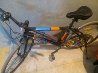 Bicycle  Waltex 2022 Model