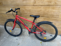 Bicycle Decathlon