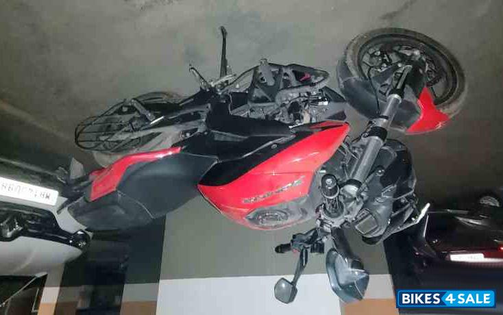 Canyon Red Bajaj Dominar 250