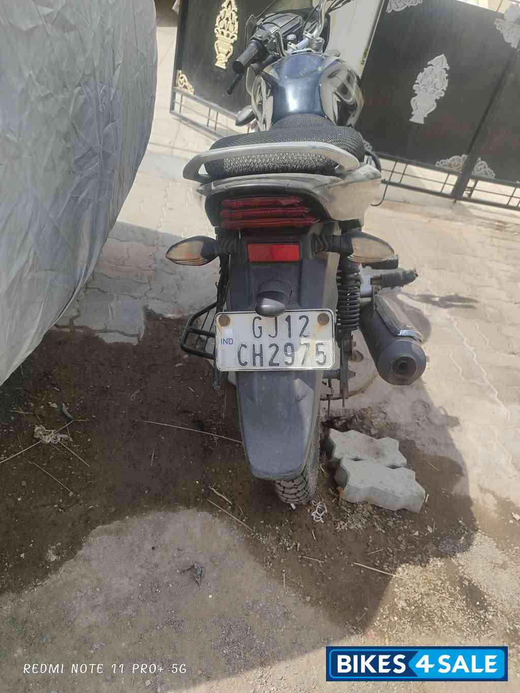 Olive Oil Bajaj Discover 100M