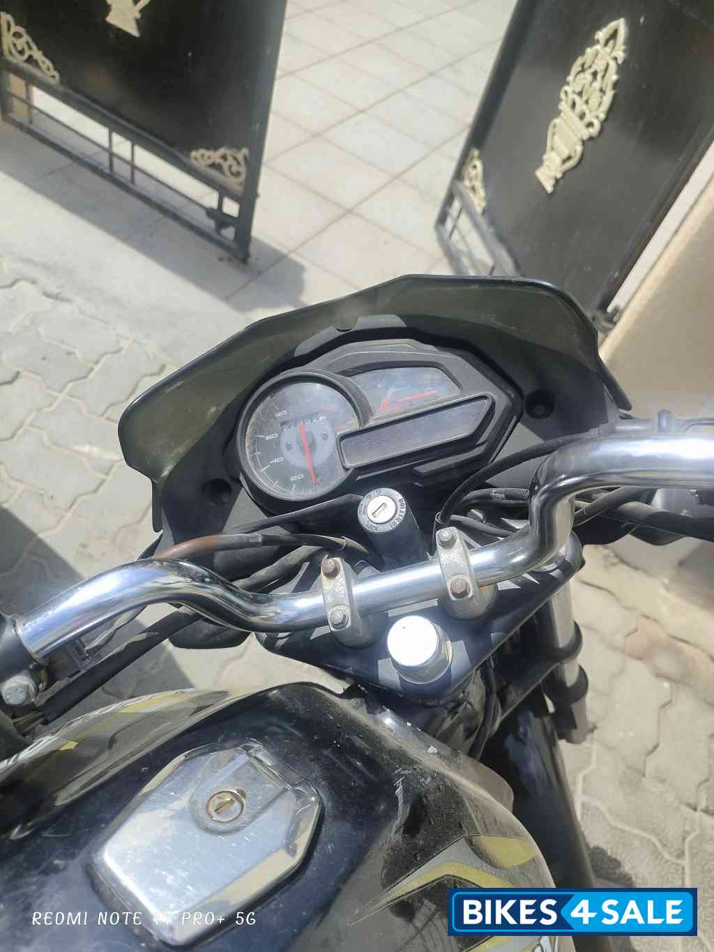 Olive Oil Bajaj Discover 100M Olive Oil Bajaj Discover 100M