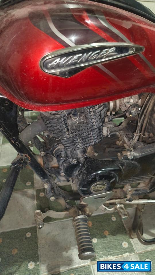Spicy Red Bajaj Avenger Street 160 BS6 Spicy Red Bajaj Avenger Street 160 BS6