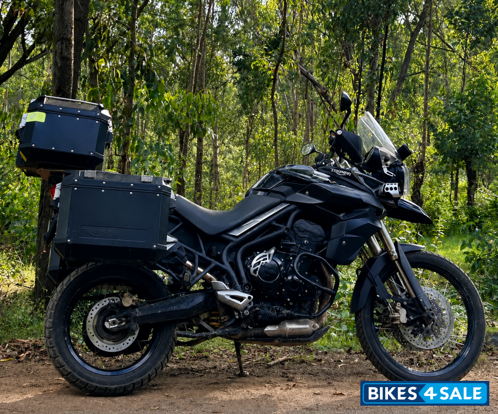 Black Triumph Tiger 800 XC