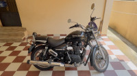 Matt Black Royal Enfield Thunderbird 500