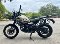 Kaza Brown Royal Enfield Himalayan 450