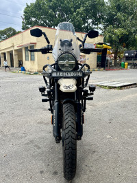 Kaza Brown Royal Enfield Himalayan 450