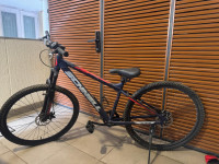 Bicycle Schnell  Model