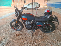 Petrol Green Royal Enfield Bear 650